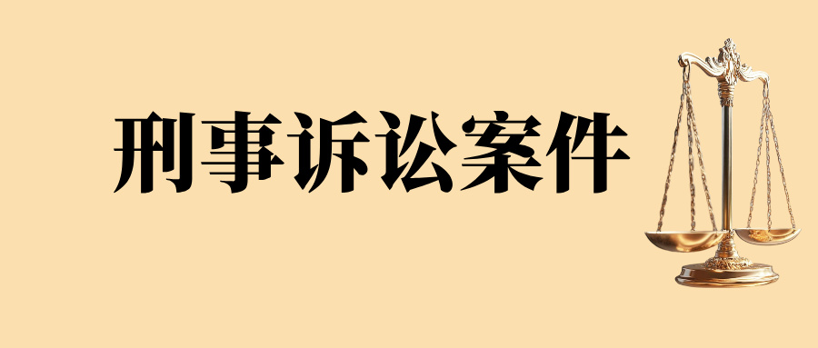 刑事诉讼案件